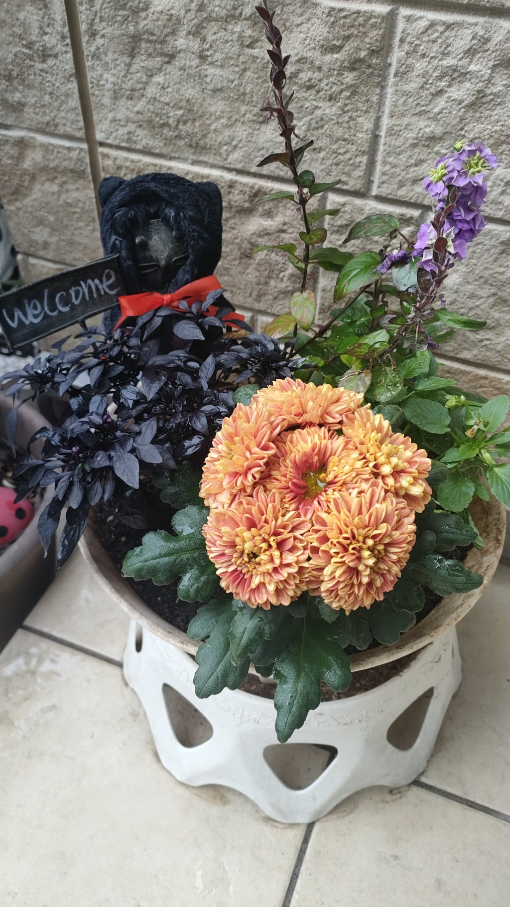 クリスマスミニ発表会に向けて🎄